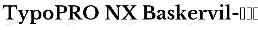 TypoPRO NX Baskervil字体转换